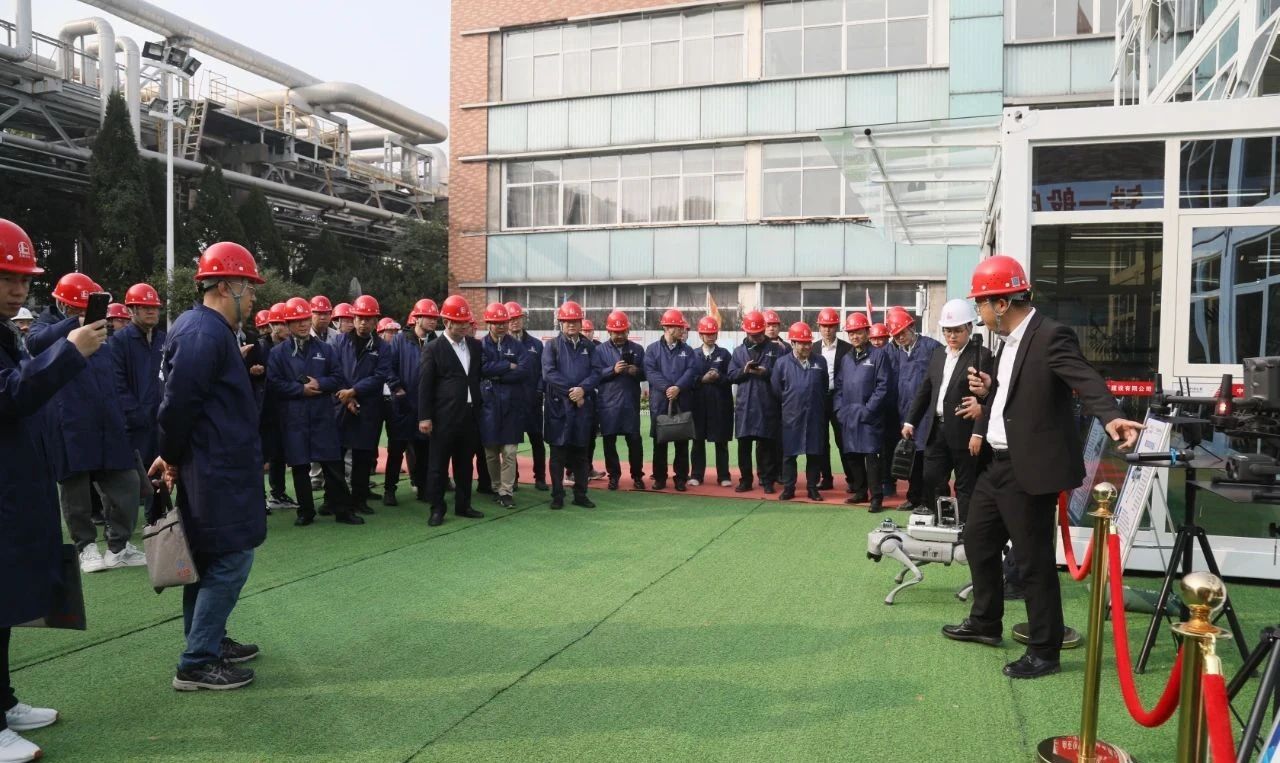 11.23 5.jpg 11.23 5.jpg