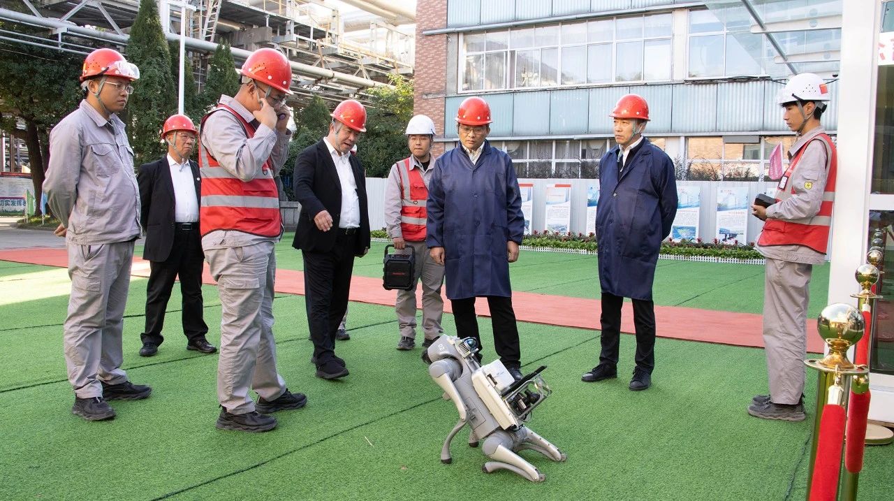 11.7 2.jpg 11.7 2.jpg