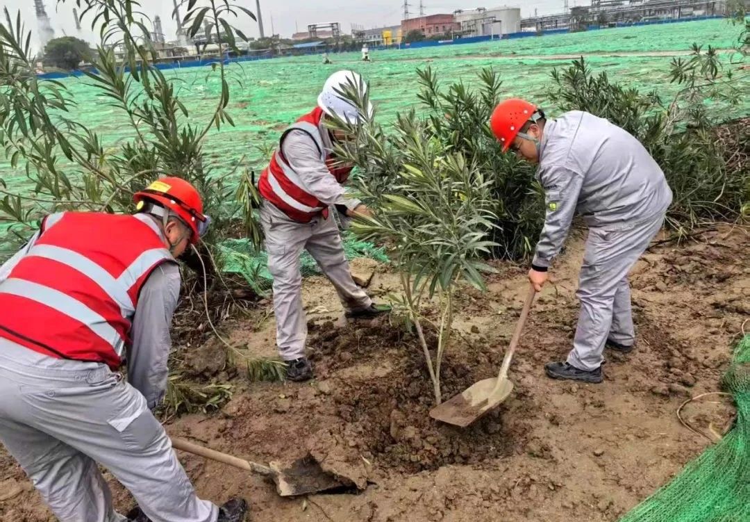 微信圖片_20250313091500.jpg 微信圖片_20250313091500.jpg